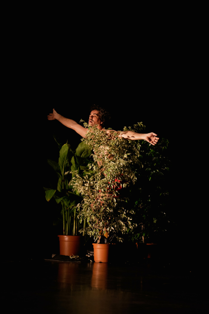 -Festival d'Aurillac 2025 - Best of © Marielle Rossignol-92